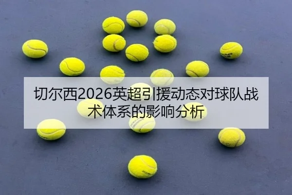 切尔西2026英超引援动态对球队战术体系的影响分析