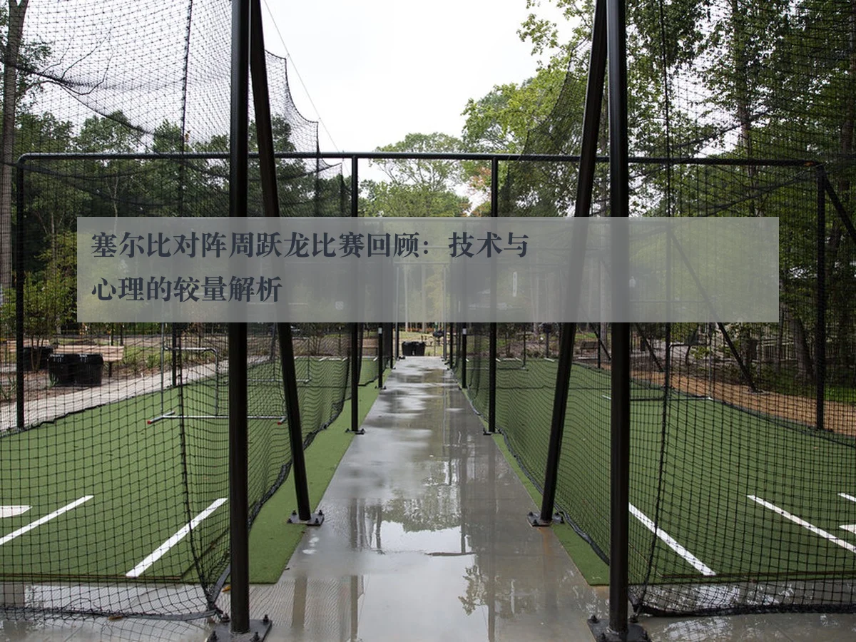 塞尔比对阵周跃龙比赛回顾：技术与心理的较量解析